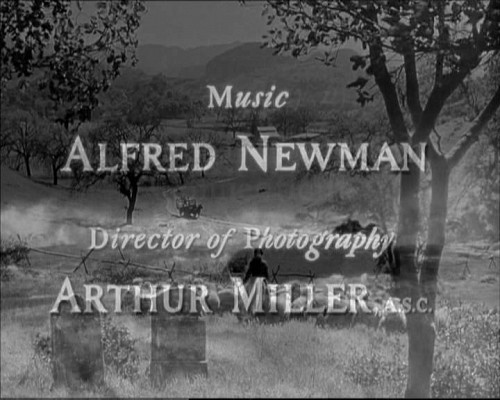 Little Foxes - photogramme